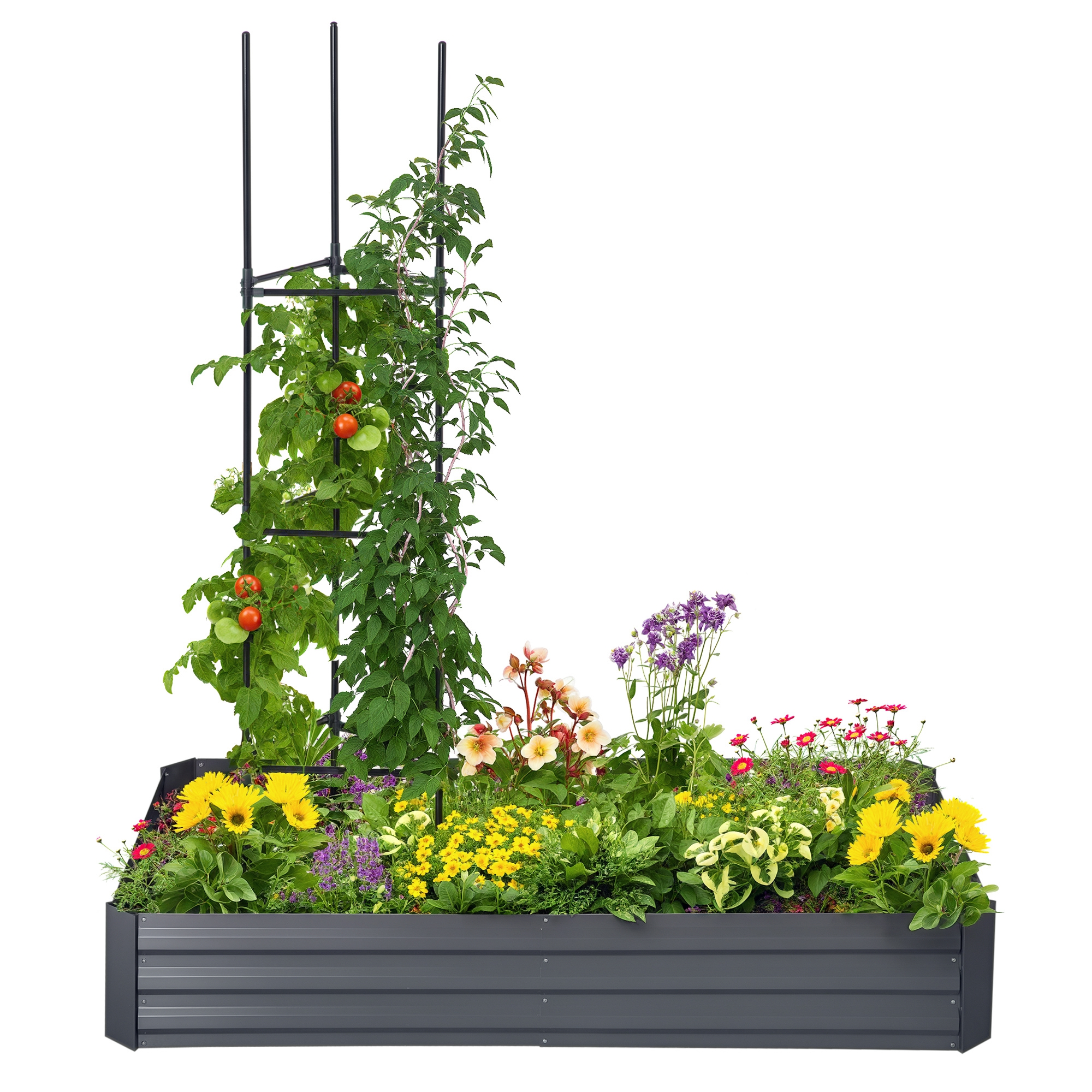 Pat de grădină jardinieră rectangular din metal cu tuteuri pentru roșii și plante cățărătoare 180 x 90 x 29,5 cm | Aosom Romania